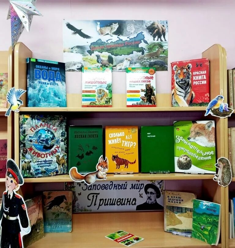 Всемирный день дикой природы книжная выставка в библиотеке. Всемирный день дикой природы книжная выставка в библиотеке. Книжная выставка к всемирному дню дикой природы. Книжная выставка к дню защиты животных. Всемирный день дикой природы в библиотеке.