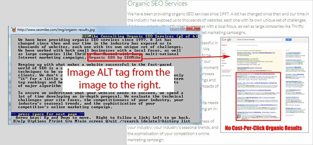 Тег alt html. Alt в html что это. атрибут alt в html. тег alt. тег alt в html.