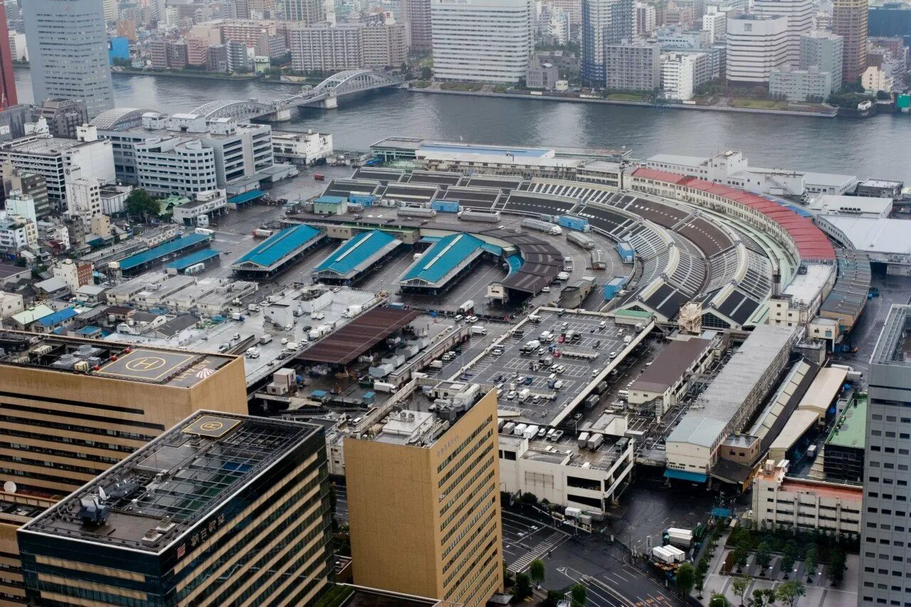 Япония крупнейший в мире. Рынок Цукидзи Япония. Цукидзи Токио. Рыбный рынок Цукидзи. Япония рыбный рынок Цукидзи.