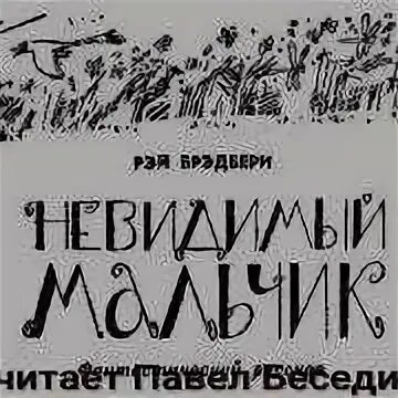 Мальчик невидимка кратчайшее содержание