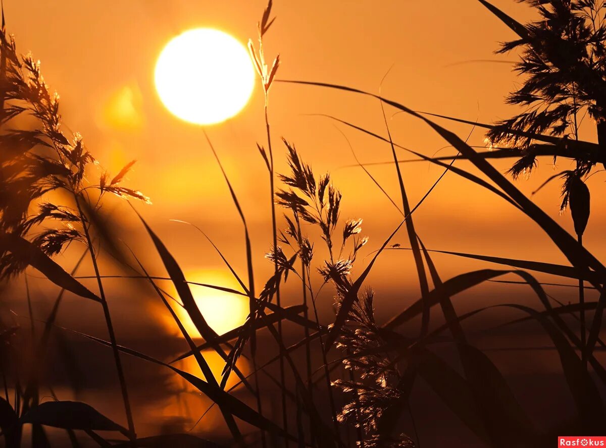 Horizon zero dawn фон. K7c dawn. Красивые игры на пк. Хорайзон 2. Скалы чжанъе данксиа.