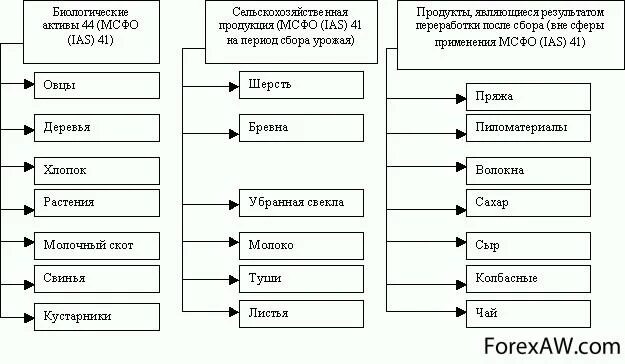 МСФО 41 сельское хозяйство. Биологические Активы. Классификация биологических активов. Международные стандарты финансовой отчетности. Учет биологических активов