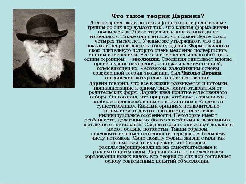Гипотеза дарвина. Теория Дарвина. Дарвин и его теория. Теория эволюции Дарвина кратко.