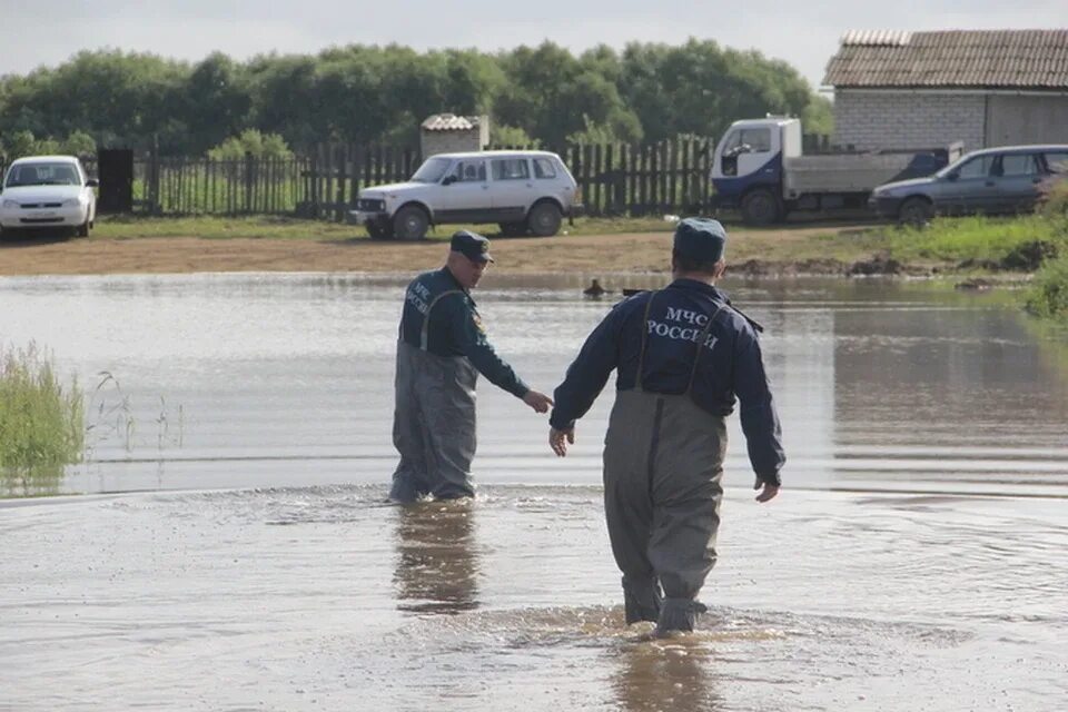 Погода с гулик