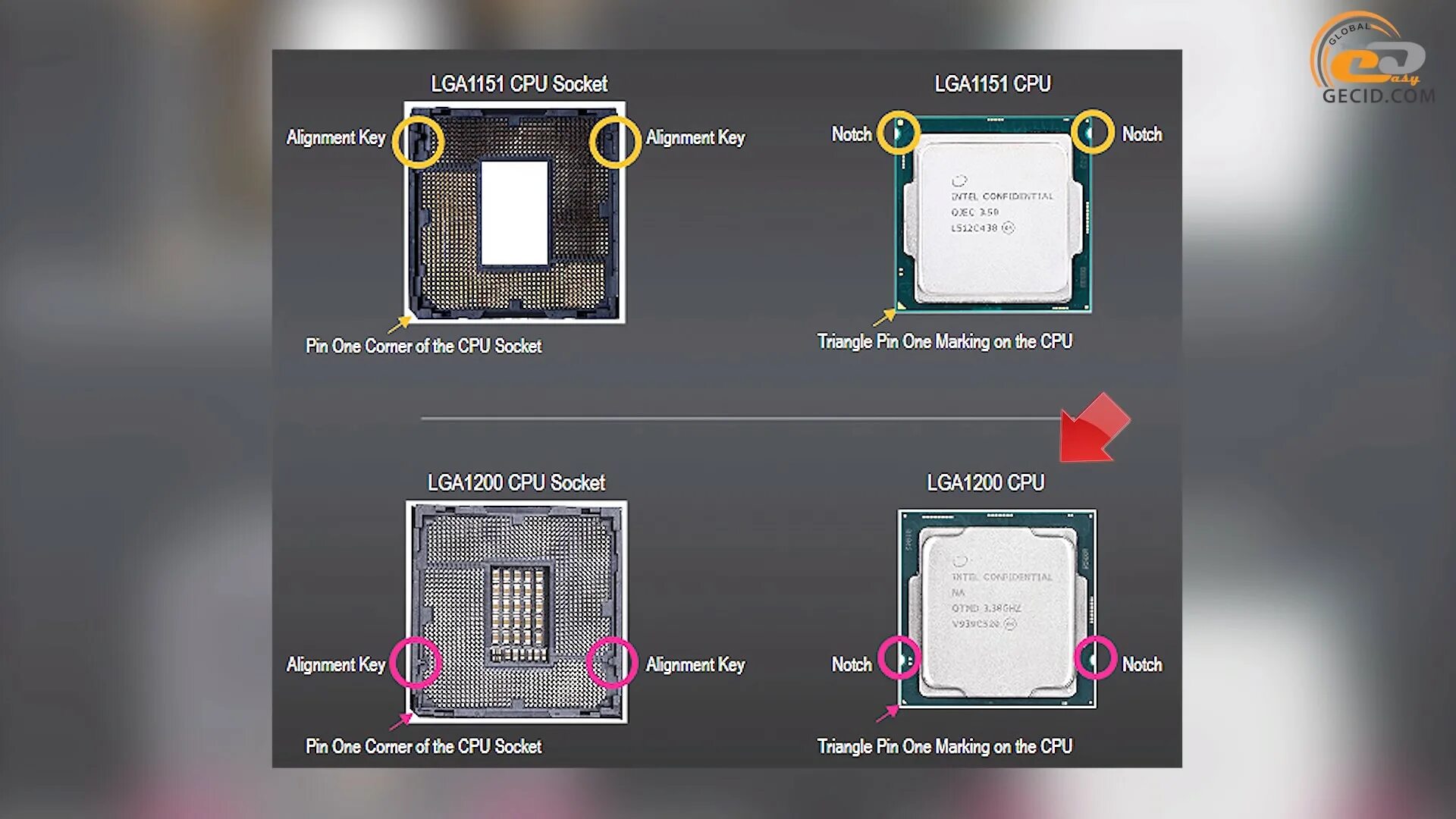 Разница lga. Lga 1700 vs lga 1200 процессор вид снизу. Разница lga. Socket am2 разъёмы микропроцессоров. Разница lga.