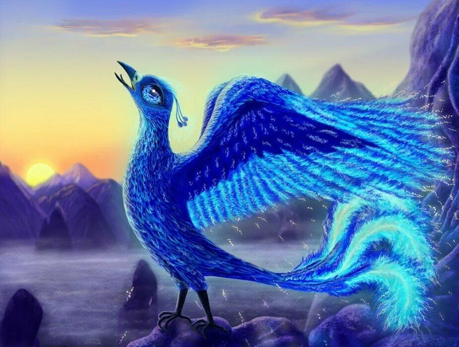 Поймать синюю птицу. Синяя птица логотип. Сомов синяя птица. Читать любовно-фантастические романы. Удачу за хвост.