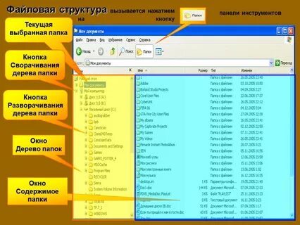 Файловой структур папка