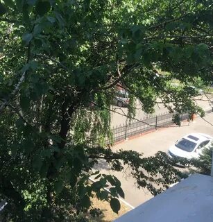Иркутский роспотребнадзор
