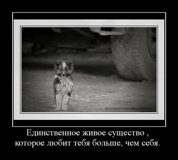 рисунки со смыслом. демотиваторы со смыслом. демотиваторы про жизнь. демотиваторы со смыслом про жизнь. хорошие демотиваторы со смыслом.