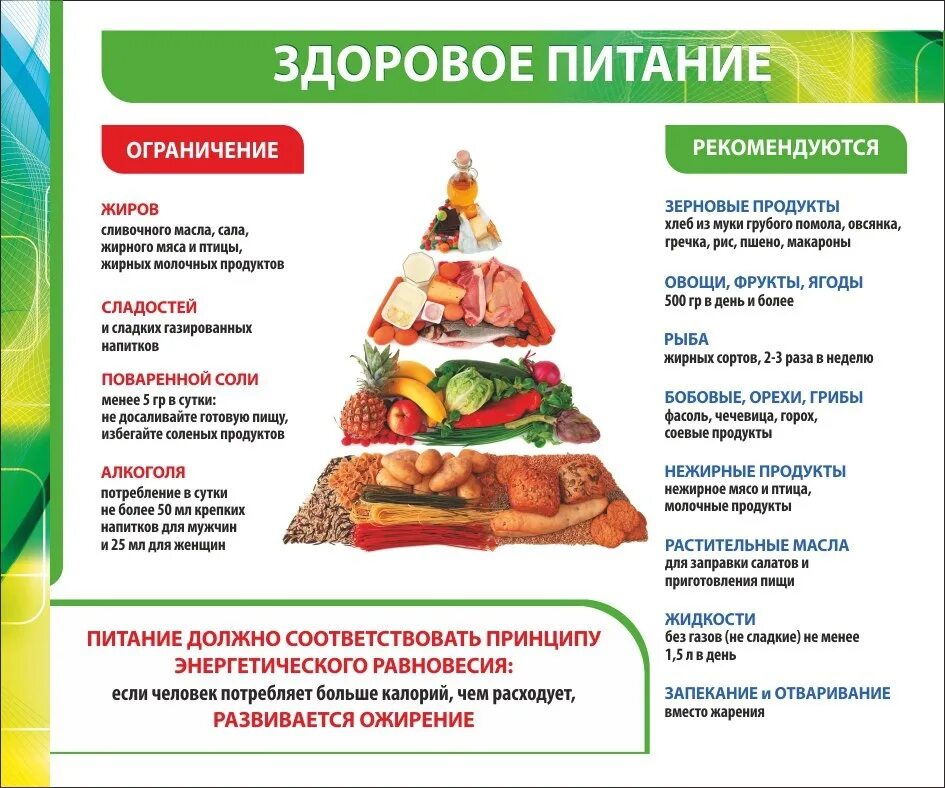 Рекомендации по общественному питанию. Профилактика правильного питания. рекомендации по рациональному питанию при ожирении. советы по здоровому питанию. правила здорового питания.