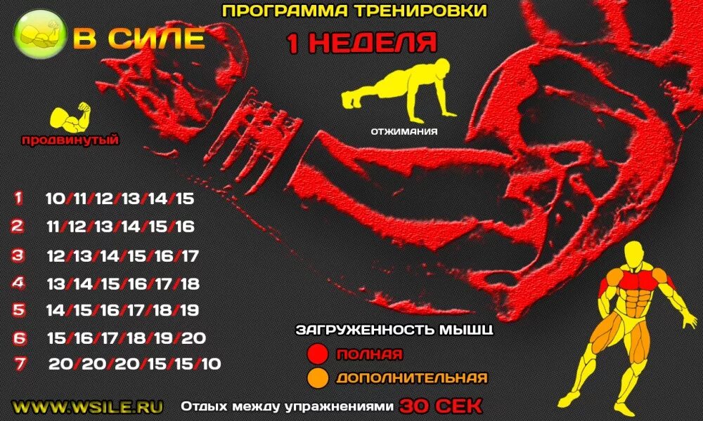 Программа тренировок ганнибала. Тренировочная программа. программа тренировок отжимания. программа тренировок wsile.
