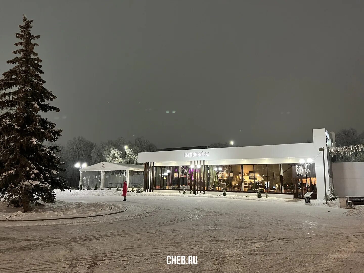 Парк амазония чебоксары кафе. Ресторан выставочный зал. Verona hall банкетный зал чебоксары. Кафе выставочный зал чебоксары. Выставочный зал чебоксары ресторан амазония.