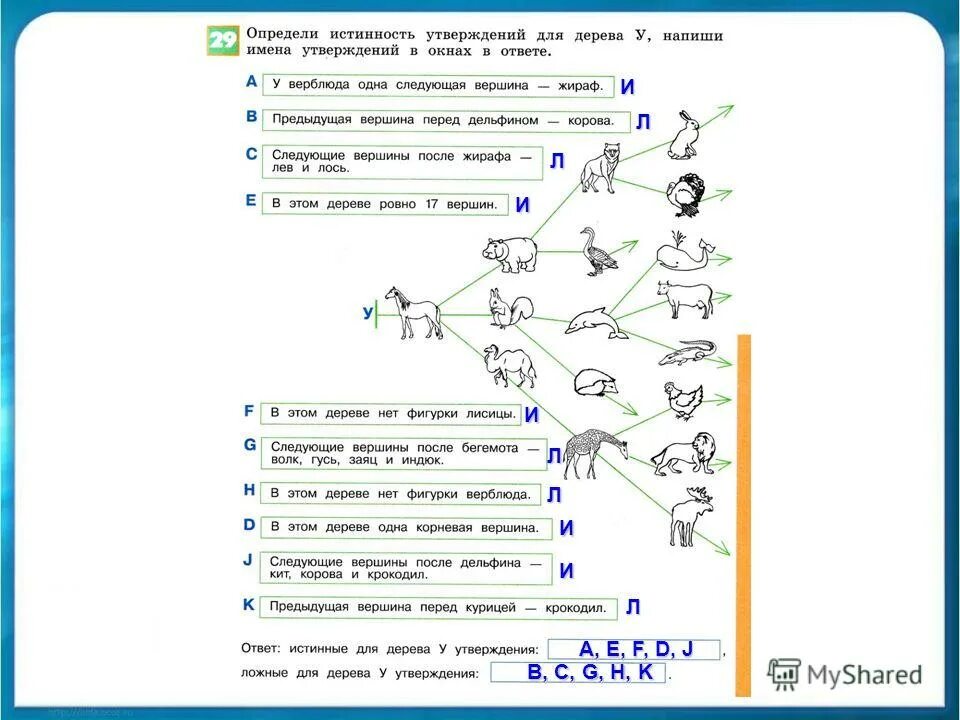 Обучающие программы по информатике 3 класс схема ответ. Задания по информатике 3 класс. Информатика. 3 Класс.. Дерево Информатика 3 класс. 23 3 информатика