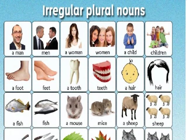 Plural Nouns исключения. Plural forms of Nouns исключения. Plural Nouns правило.