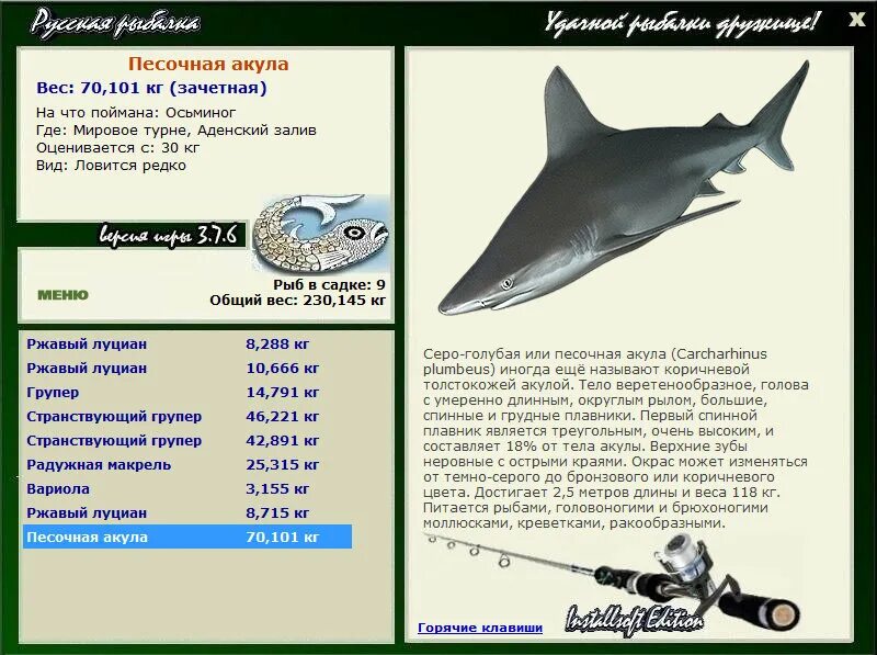 сколько весит большая акула. размеры акул. мегалодон акула размеры. средняя масса акулы. сколько весит акула.