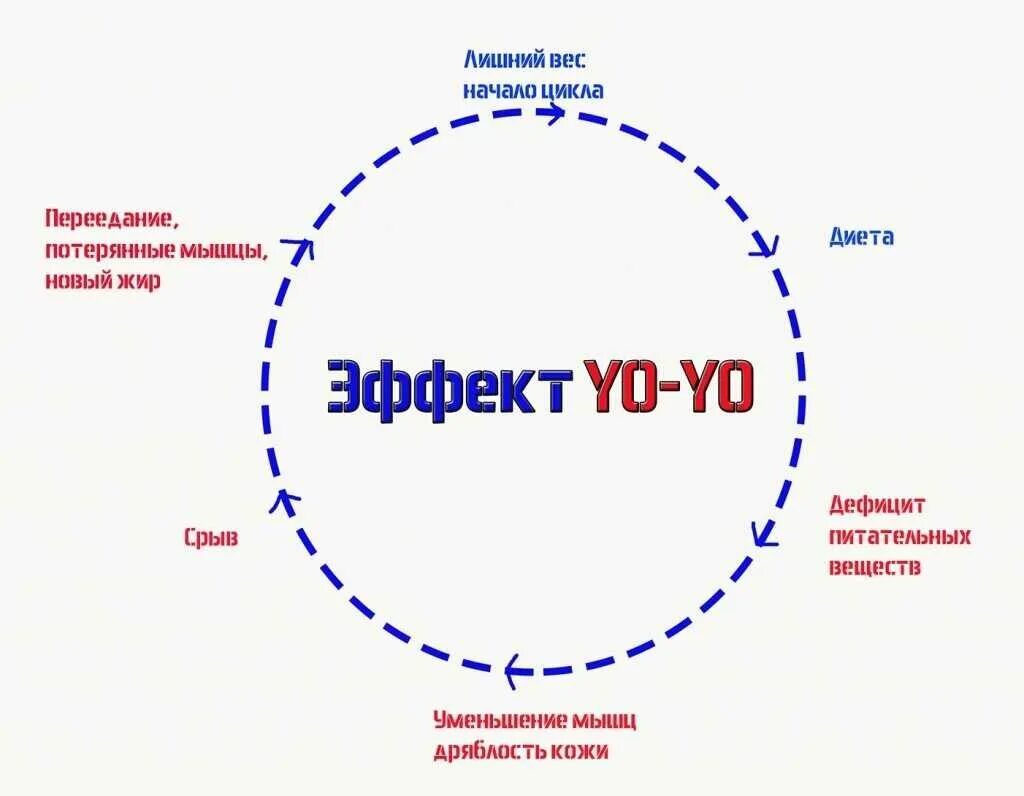 Эффект йо-йо. Йо йо диета. Порочный круг диет. Эффект йо-йо в похудении.