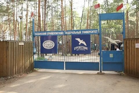 Буревестник детский оздоровительный