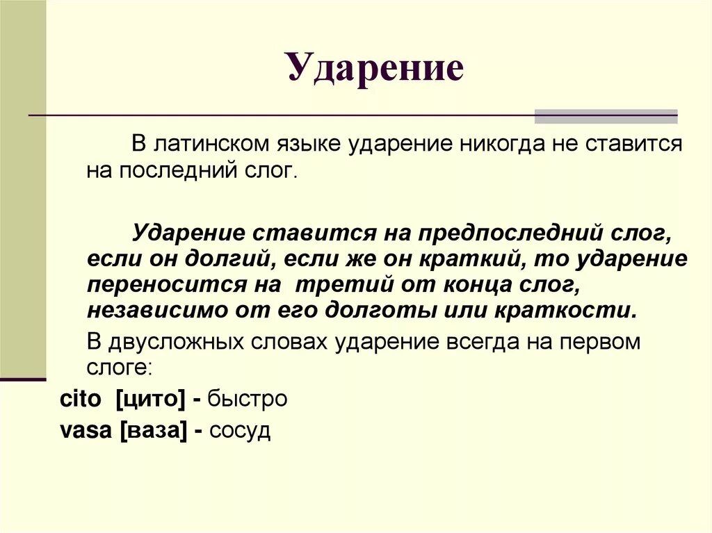 Ударение всегда падает. Правило ударение в латинском языке. Ударения в латыни правило. Схема постановки ударения в латинском языке. Латынь правило постановки ударения.