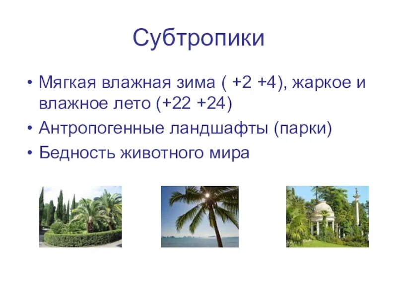 Субтропическая зона описание. Субтропики доклад. Природная зона субтропики растительный мир. Субтропики природная зона. Климат субтропиков черноморского побережья.