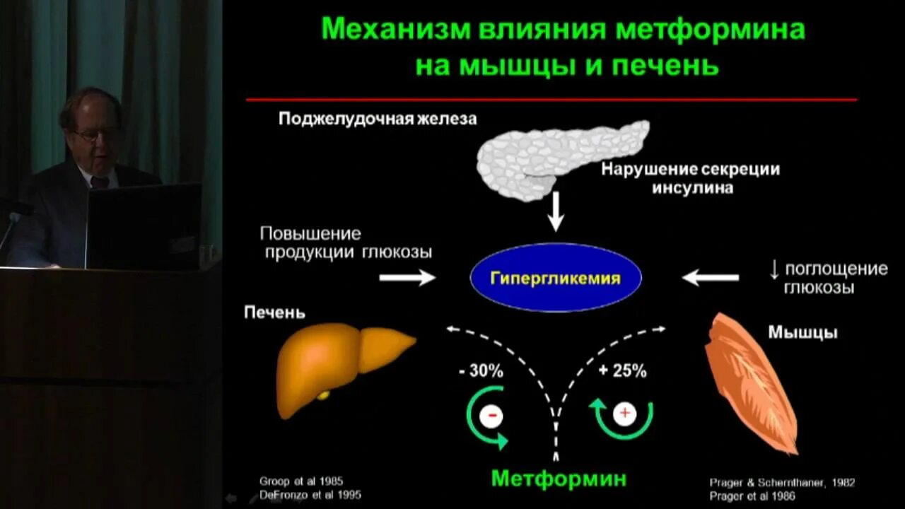 Как метформин влияет на печень. Механизм действия метформина. метформин механизм действия. ингибиторы нглт-2. метформин эффекты.