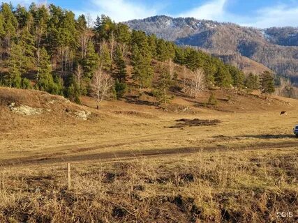 Земельный участок республика алтай