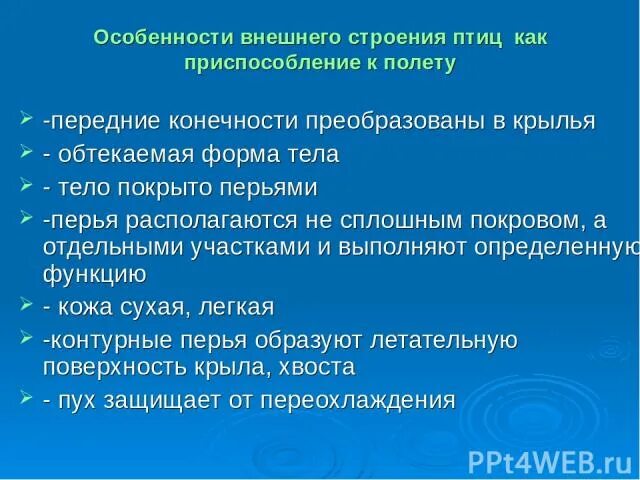 Приспособления к полету. Приспособления птиц к полету во внешнем строении. Приспособления птиц к полету. Приспособленность птиц к полету во внешнем строении.