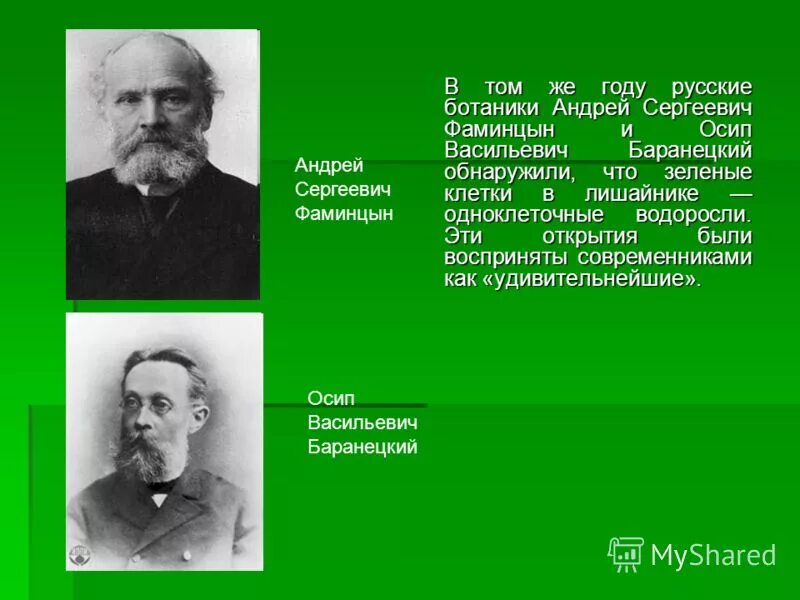 Андрея ботаника. Чхобадзе вогу. Цинния ботаническая зарисовка. Андрея ботаника. Андрея ботаника.