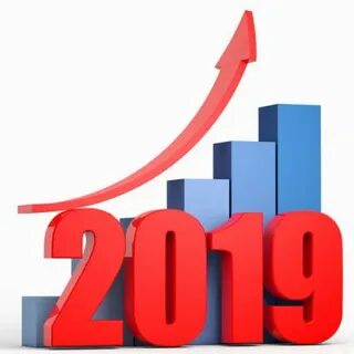 Отчетность 2019