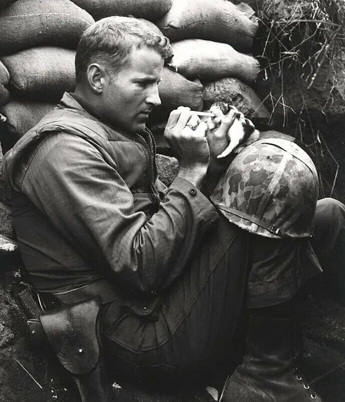 Душераздирающая история. Военные фотографии.