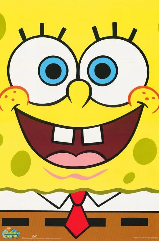 Sponge square