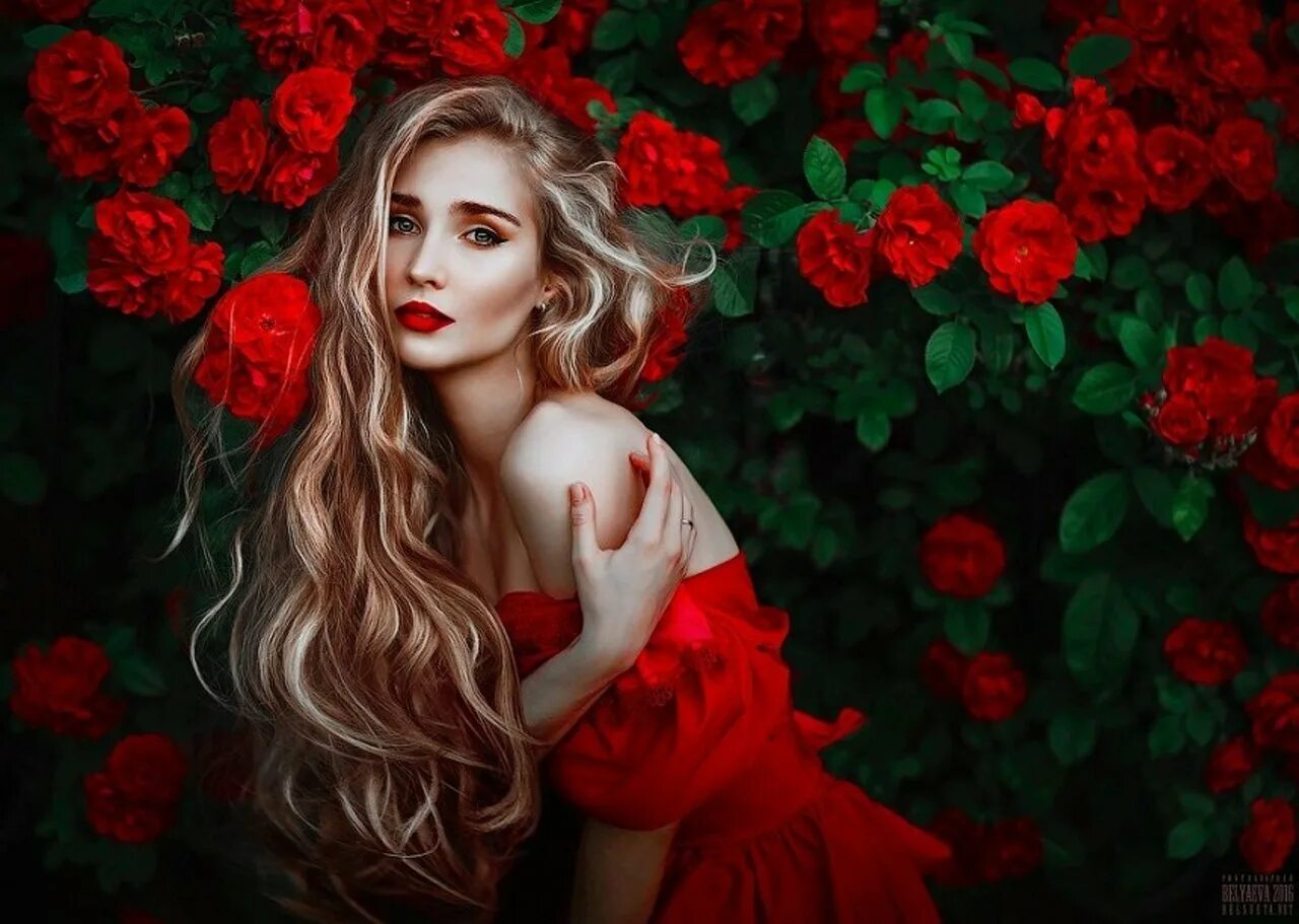 Девушка розы видео. Фотосессия с розами. Devushka s rozami. Фотосессия в цветах. Девушка с красными розами.