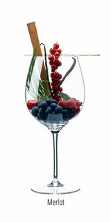 Вкус запах вина