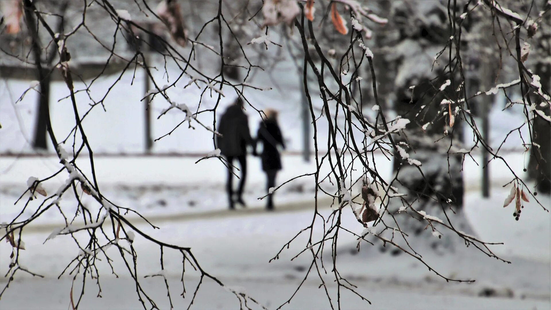 Подскажи в феврале. Дождь в феврале. Неблагоприятные погодные условия. Небольшой снег. Потепление зимой.