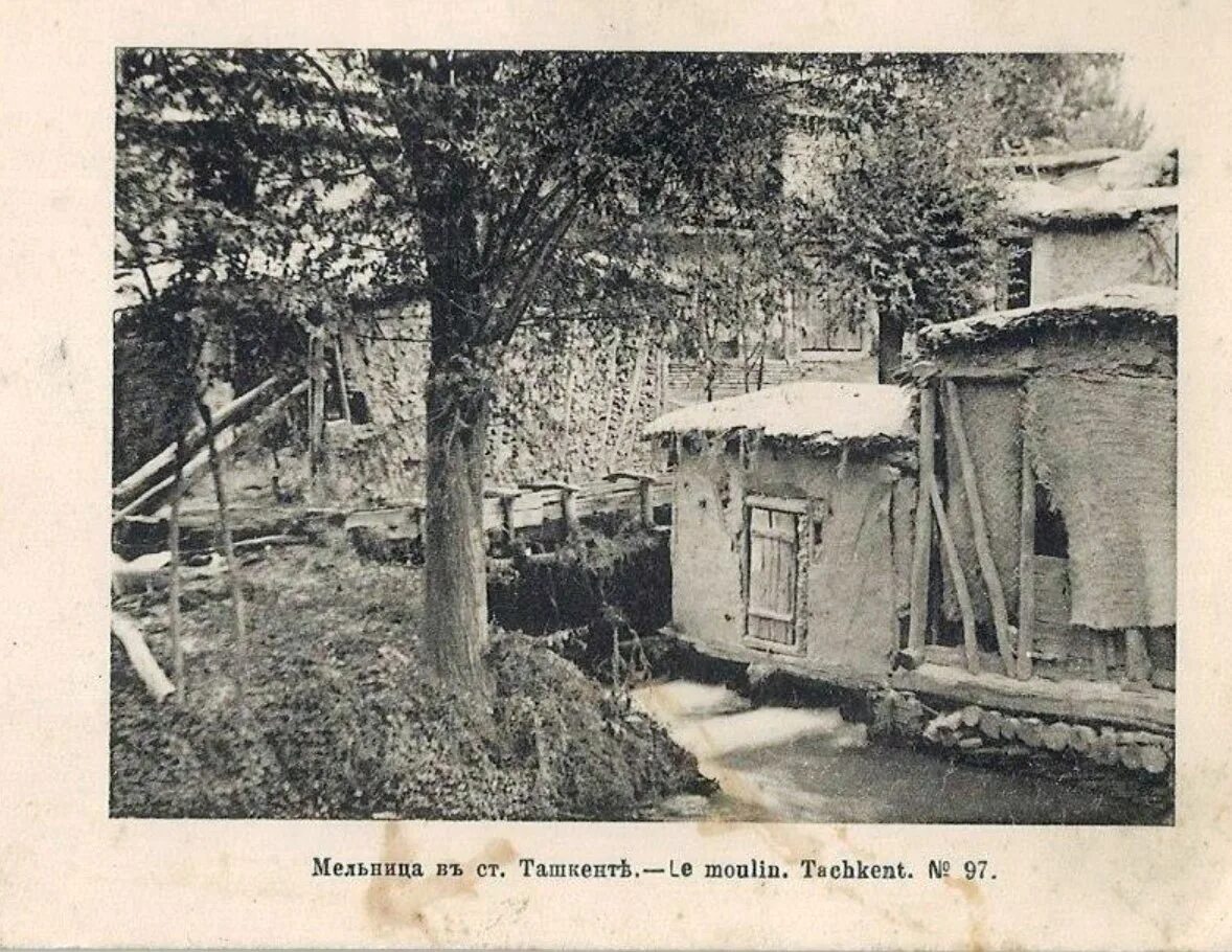 Аср ташкент. Xix аср . тошкент эски шахар. 20 asr toshkent. xix asr. 20-asr.