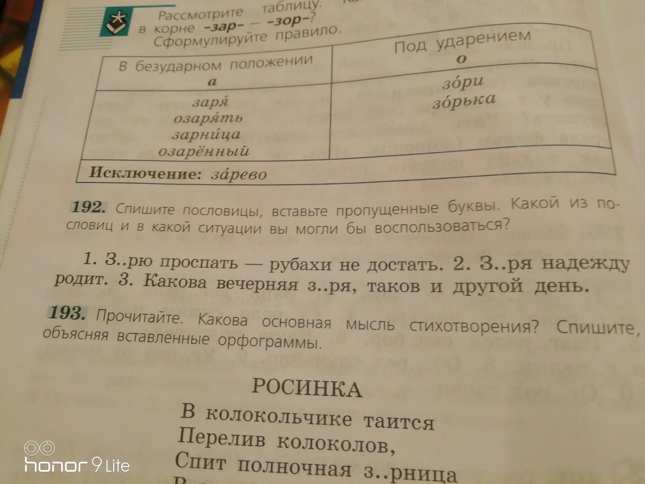 Основная мысль стихотворения Росинка. Какова вечерняя Заря таков и другой день. Какова вечерняя Заря таков и другой день в какой ситуации. Зарю проспать рубахи не. Заря надежду родит в какой ситуации можно