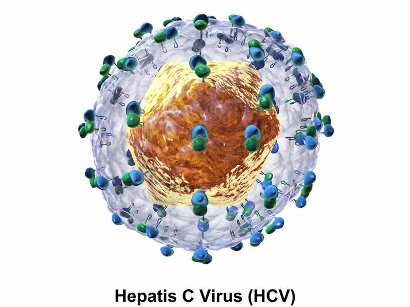 Вирусные гепатиты. Вирус гепатита в. Возбудитель гепатита а. Вирусные гепатиты картинки.