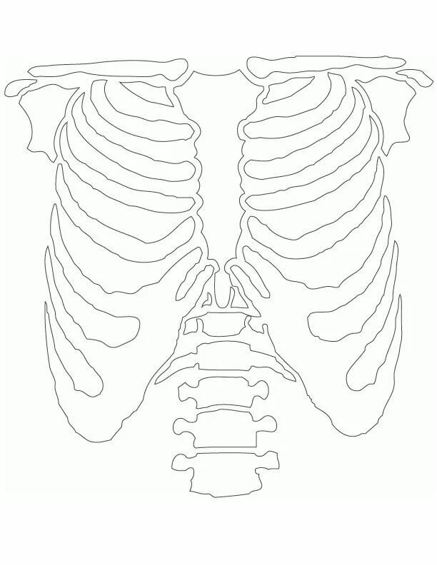 Шаблон скелета для вырезания skeleton: ribcage template Disfraz de esqueleto casero, Disfraz de esqueleto, Es