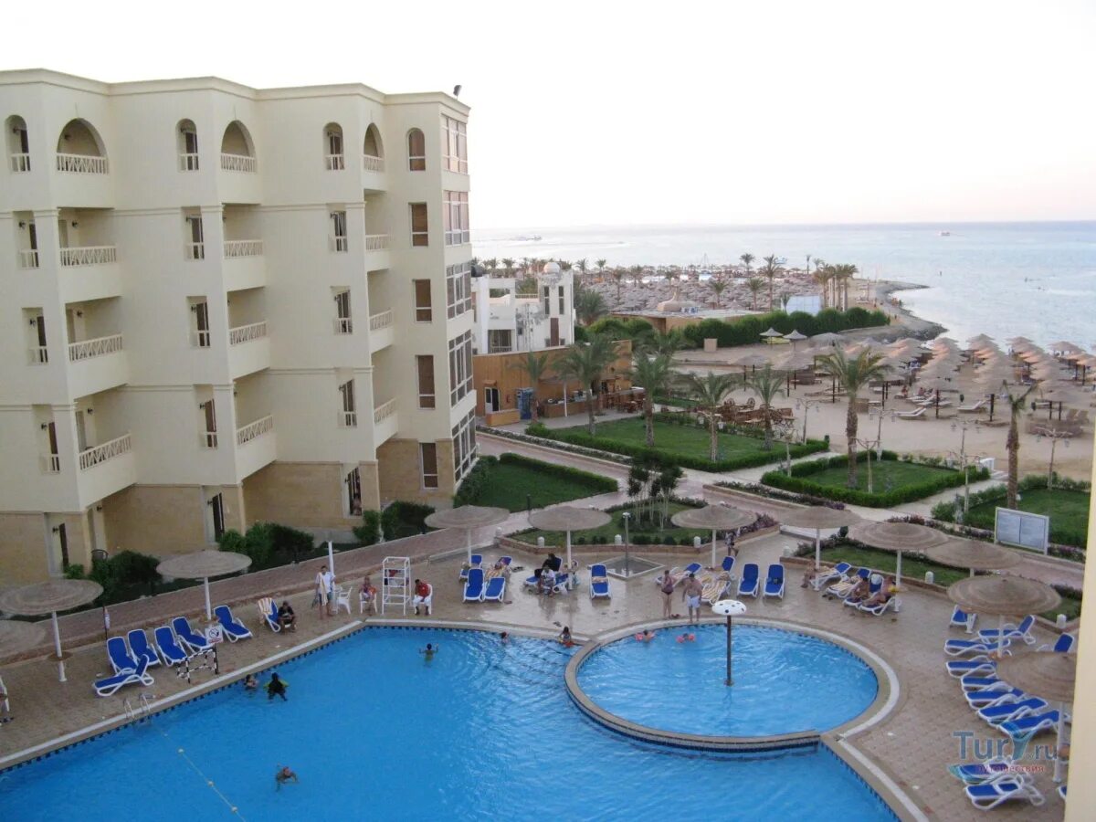 Amc royal hotel spa египет хургада