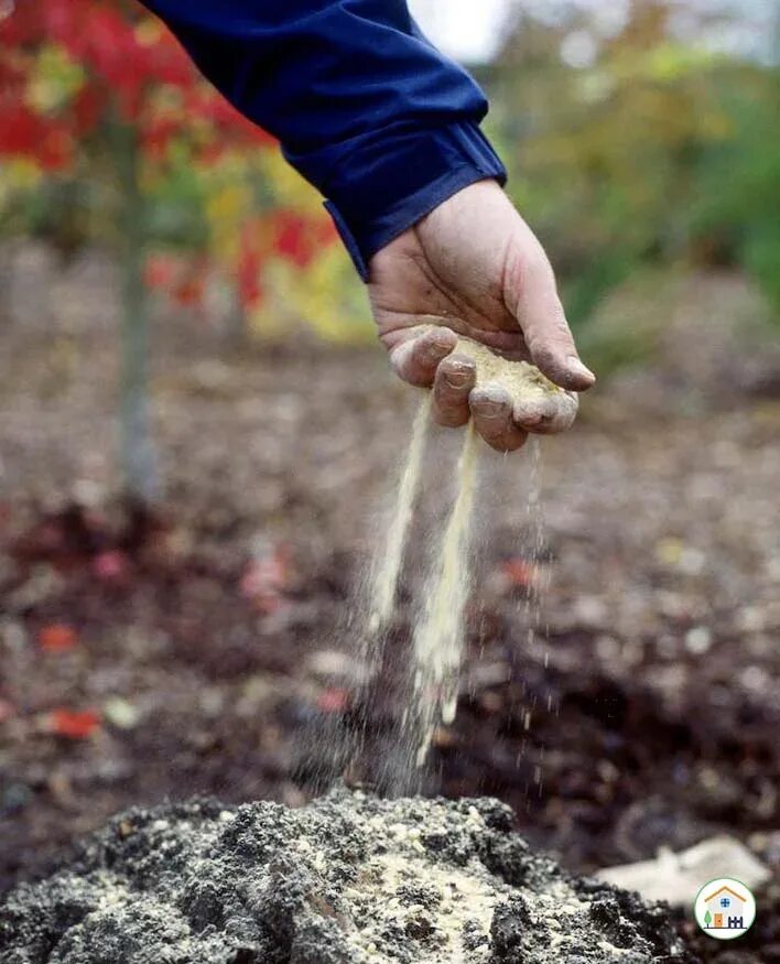 Удобрения. Почва. Осеннее внесение удобрений. Удобрение почвы в саду.