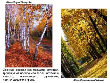 Описание осеннего пейзажа 6 класс