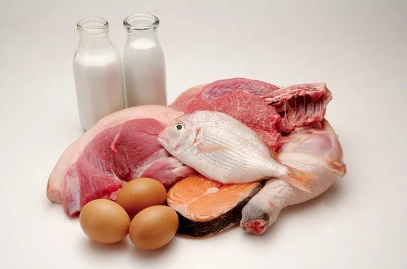 Мясо рыба яйца. Мясо молоко яйца. Мясо рыба молоко. Животные белки продукты. Белок мяса птицы