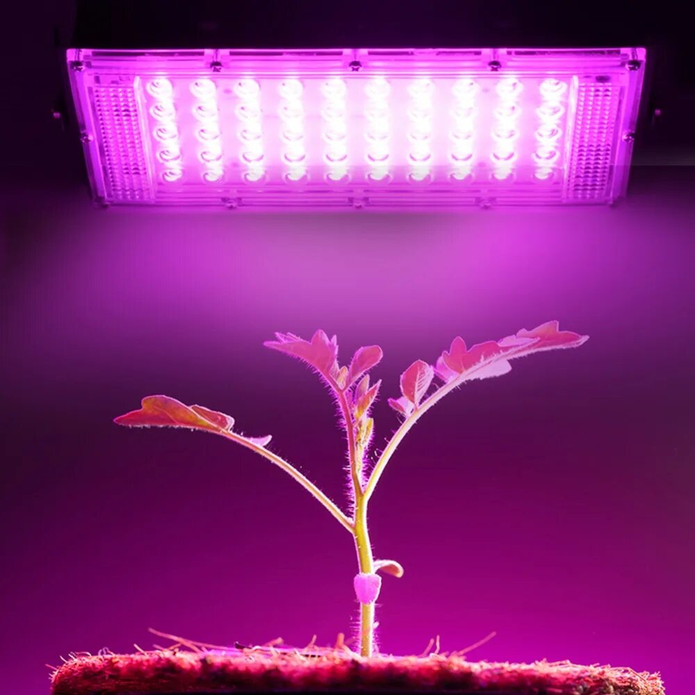 Чем фитолампа отличается от обычной лампы светодиодной. Фитолампа led grow light. фитолампа светодиодная 50вт. 50w led grow light 50pcs hight power led grow light ac100-240v. фитосветильники для растений led 50 ватт.