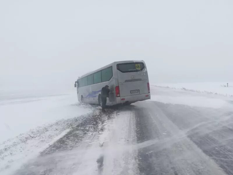 Автобусы Благовещенск. Райчихинск Благовещенск трасса. Автобус Свободный Благовещенск. Междугородние автобусы Благовещенск.