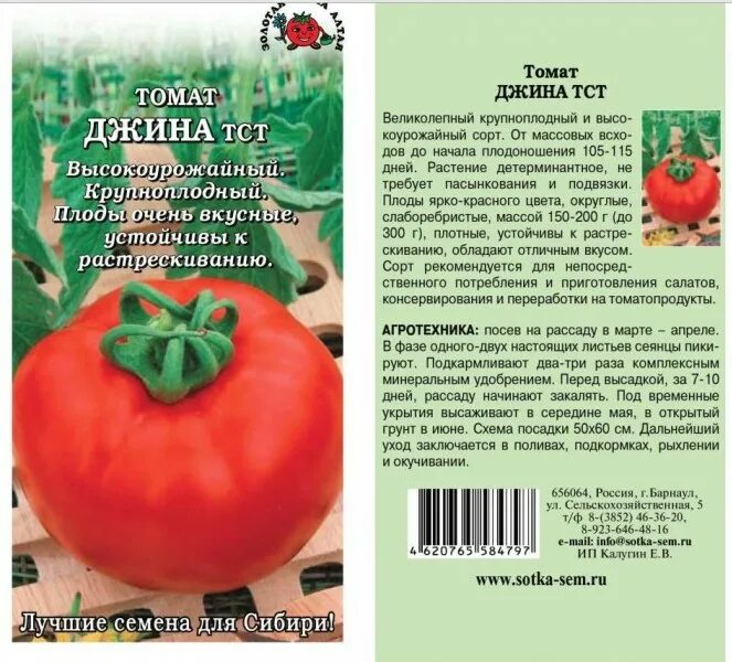 Золотой алтай томат. Сорт помидор Джина ТСТ. Семена томат Джина ТСТ. Томат Джина ТСТ семена Алтая.