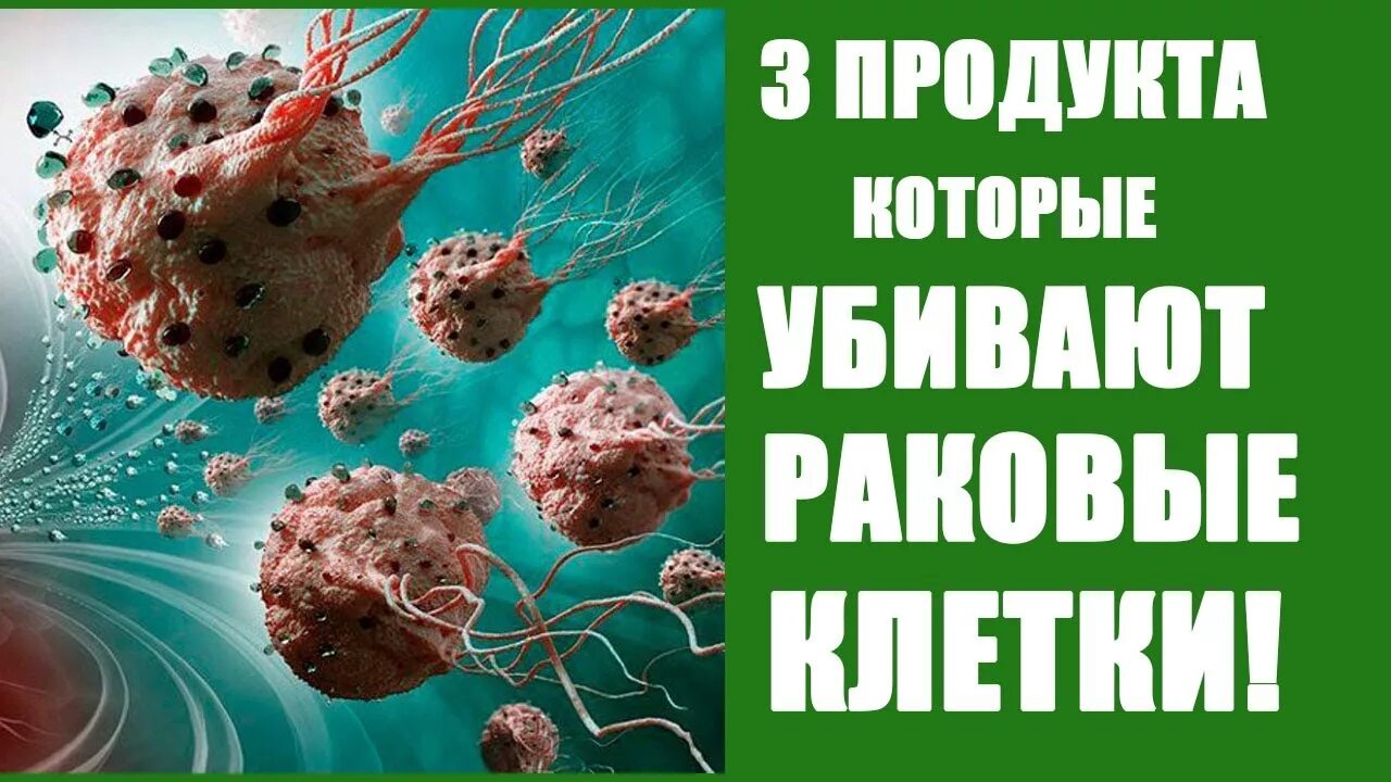 Продукты которые убивают раковые клетки. Пища которая убивает раковые клетки. Продукты разрушающие раковые клетки. Продукты уничтожающие раковые клетки в организме человека. Питание раковой клетки