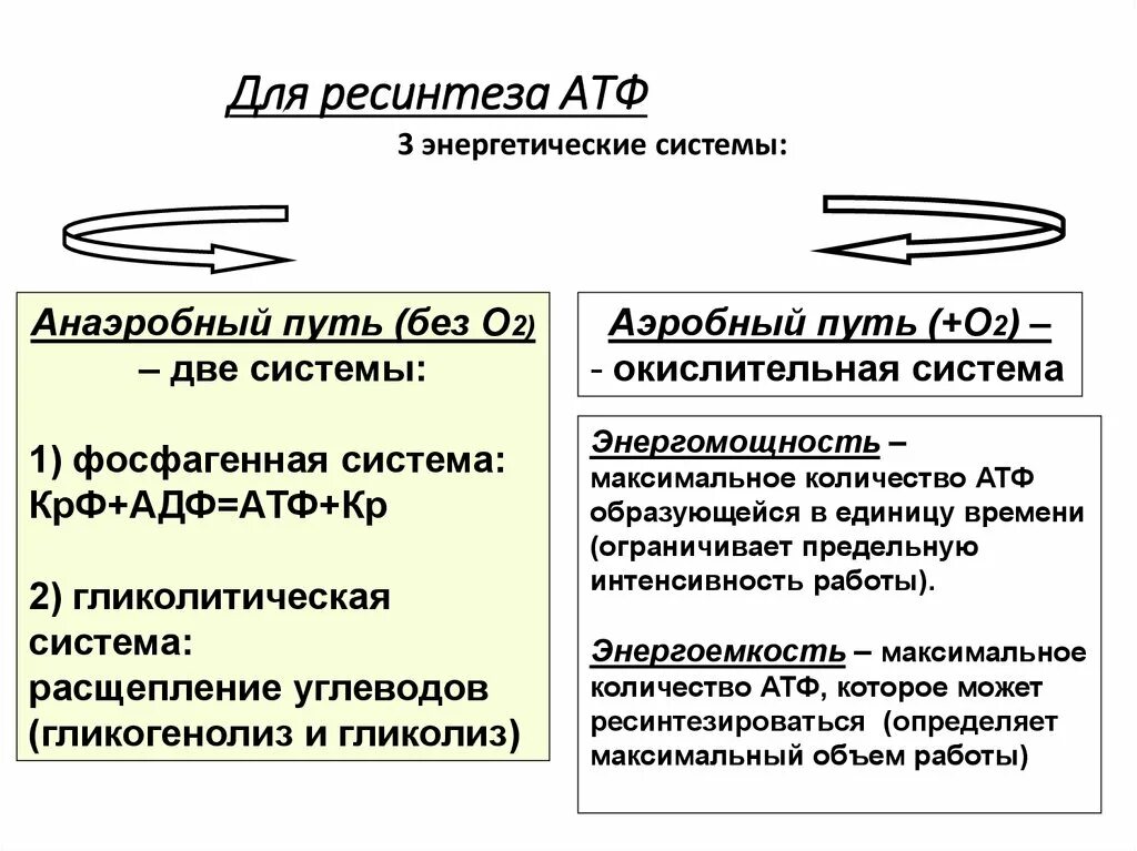 Анаэробный ресинтез атф. Анаэробный путь ресинтеза. Система АТФ-КРФ. Фосфагенная система АТФ. Аэробная энергообразующая система включает.