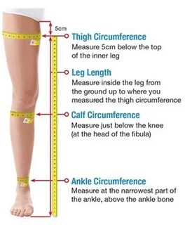 Knee length перевод