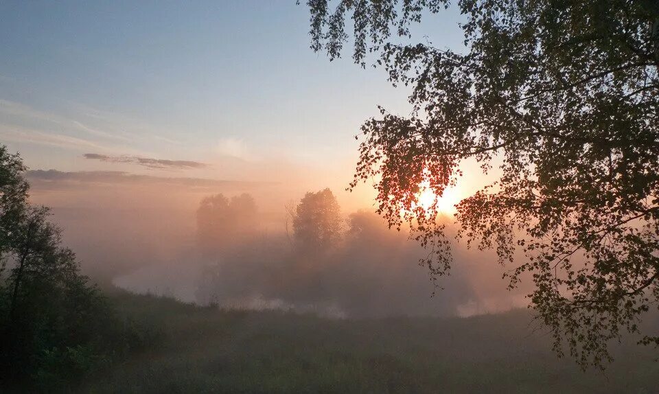 Сочинение все в тающей дымке. Утренняя дымка. Рассвет в дымке. Рассвет с берёзами в тумане. В тающей дымке.