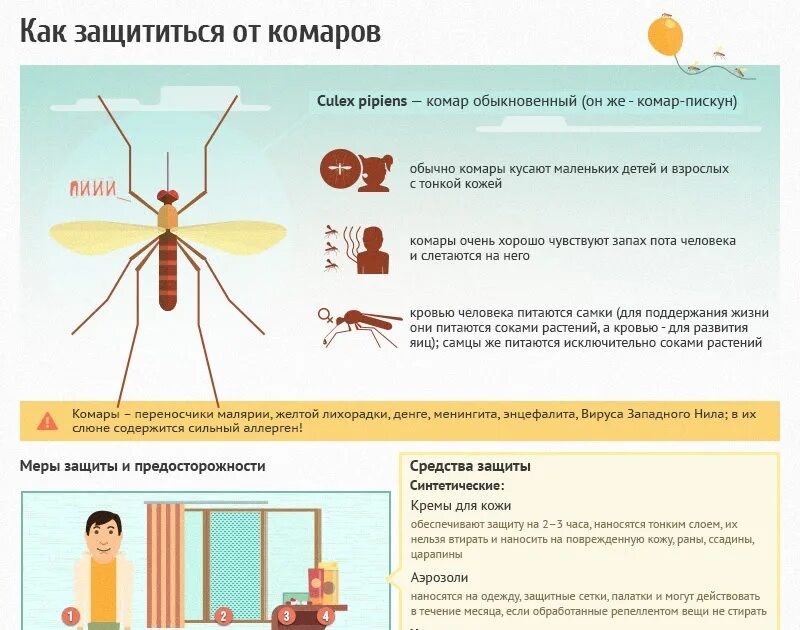 Как избавиться от комара ночью