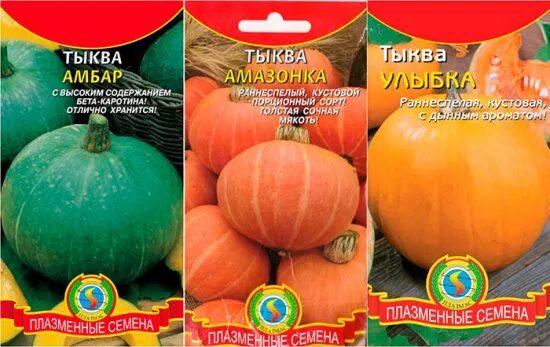 Скороспелые сорта тыквы. Сорта тыквы с дынным ароматом. тыква улыбка кустовая. тыква раннеспелая кустовая сорта. тыква раннеспелые сорта для открытого грунта.
